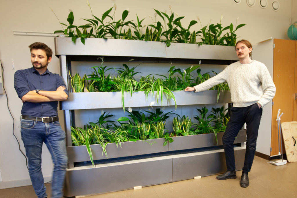 En växtställning med gröna växter i tre rader på höjden. Två killar står på varsin sida av växtställningen.